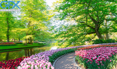 خرید عکس طبیعت