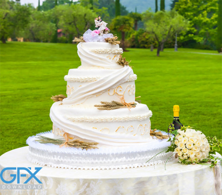 عکس کیک عروس و داماد