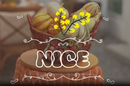 پروژه افتر افکت المان های انیمیشنی کارتونی Cartoon Elements