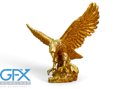 عکس عقاب طلایی خفن