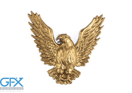 عکس عقاب طلایی بزرگ