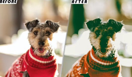 پریست لایت روم برفی Moody Winter Luts