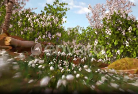 پروژه افتر افکت نمایش لوگو بهاری Spring Forest Nature Logo