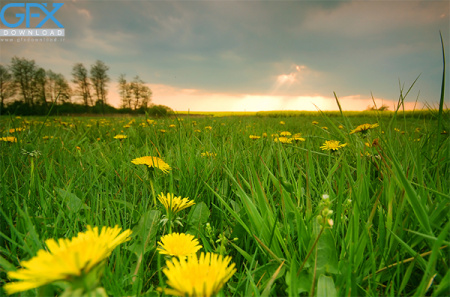 عکس طبیعت تابستان با کیفیت بالا