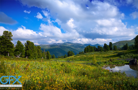 عکس طبیعت تابستان