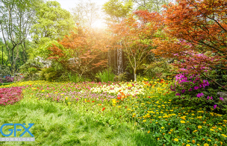 عکس هایی از طبیعت تابستان