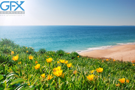 دانلود عکس طبیعت فصل تابستان