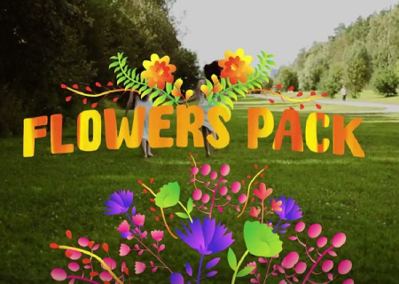 پروژه افتر افکت مجموعه عناصر گل و گیاه Flowers Pack