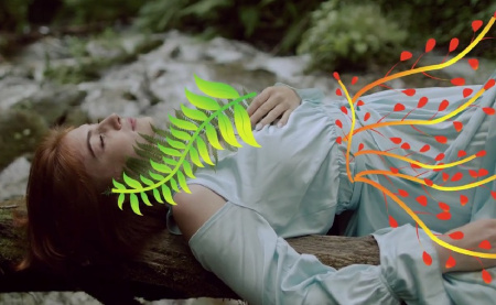 پروژه افتر افکت عناصر گل و گیاه Flowers Pack