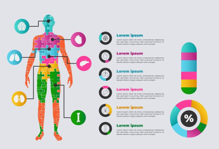 دانلود قالب اینفوگرافیک آناتومی بدن