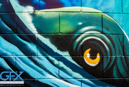 تصاویر نقاشی روی دیوار