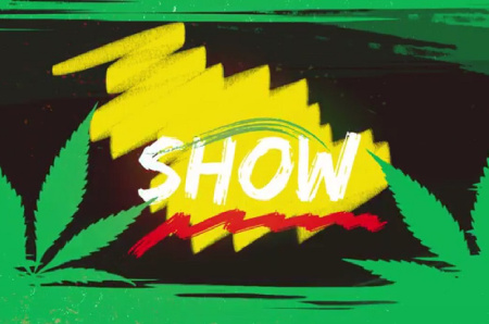 دانلود پروژه پریمیر اینترو Reggae Intro