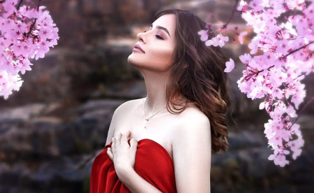 دانلود overlay های شاخه های شکوفه 25 Painted blossom