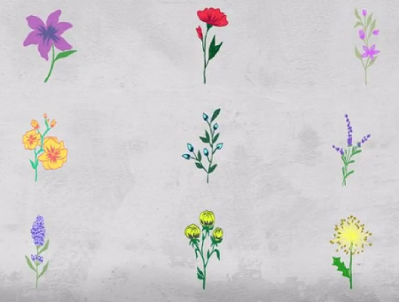 پروژه افتر افکت عناصر گل Flowers Elements