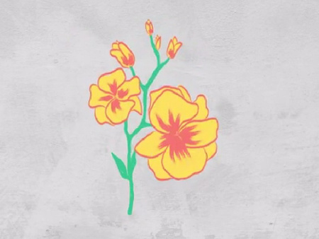 دانلود پروژه افتر افکت عناصر گل Flowers Elements