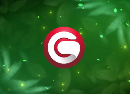 پروژه افتر افکت نمایش لوگو تابستان گرمسیری Tropical Summer Logo