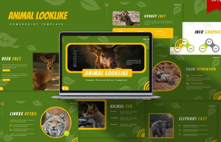دانلود تم پاورپوینت حیوانات