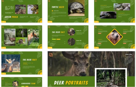 دانلود قالب پاورپوینت حیوانات