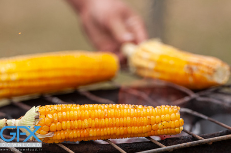 عکس ذرت بلال روی آتش