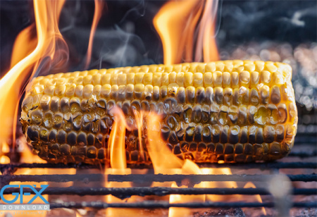 عکس ذرت روی آتش