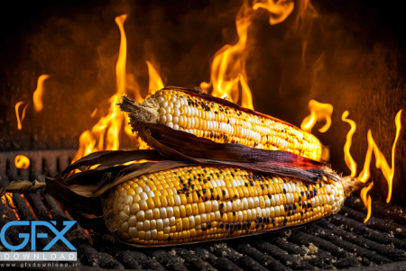 دانلود عکس ذرت روی آتش