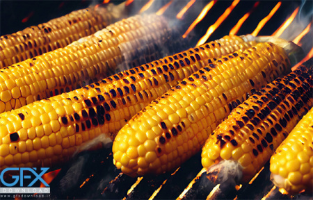 عکس ذرت کبابی