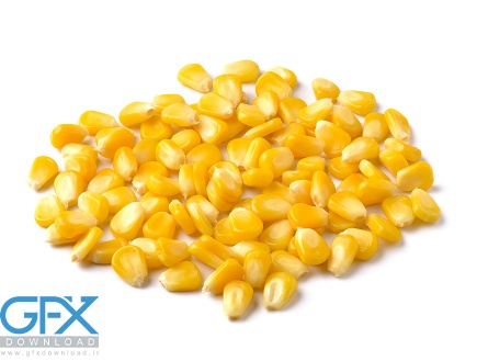 عکس بذر ذرت