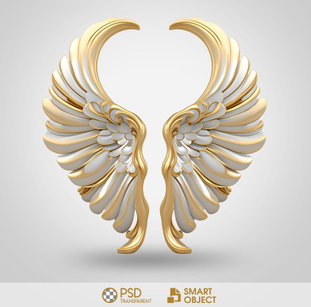 بال فرشته لایه باز