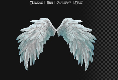 دانلود بال فرشته لایه باز
