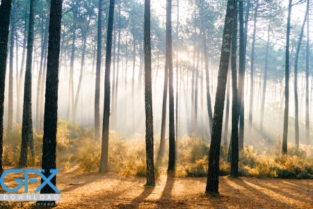 تصاویر آرامش دهنده طبیعت