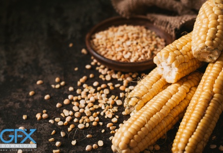 عکس ذرت دانه ای