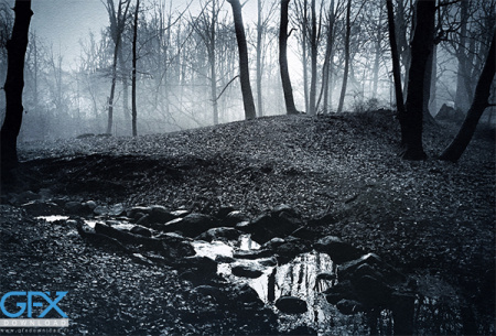 عکس های ترسناک واقعی