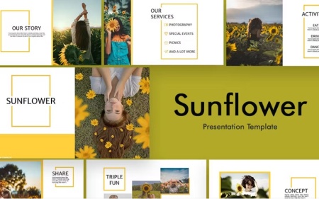 قالب پاورپوینت گل آفتابگردان