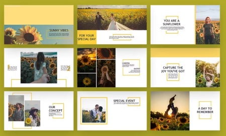 دانلود قالب پاورپوینت گل آفتابگردان