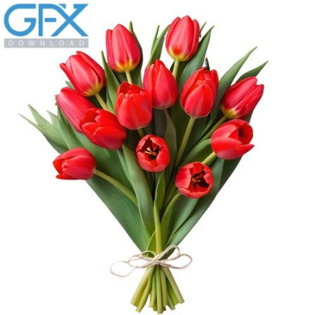 عکس دسته گل قرمز png دوربری شده