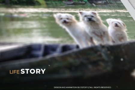 پروژه آماده افتر افکت اسلایدشو Life Story Slideshow