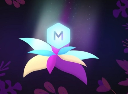 پروژه افتر افکت لوگوی گل جادویی Magic Flower Logo