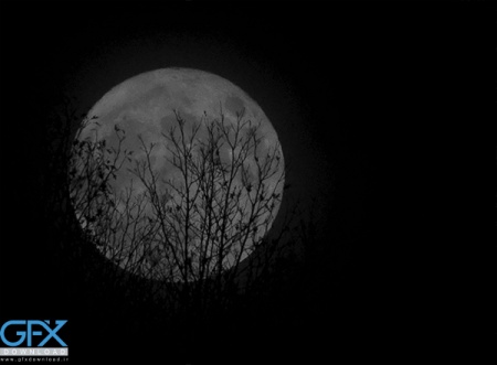 والپیپر ماه مشکی