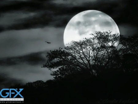 پس زمینه ماه مشکی