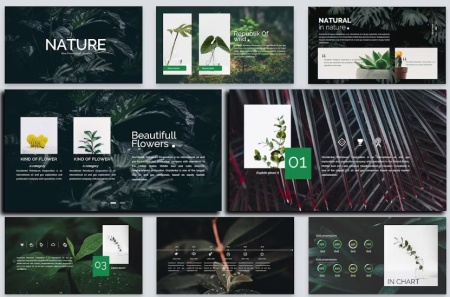 قالب پاورپوینت گل و طبیعت