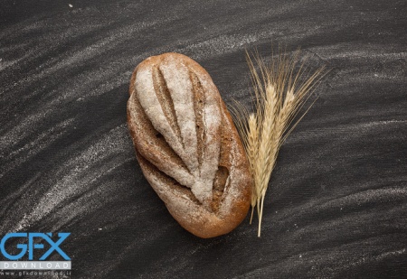 عکس گندم و آرد