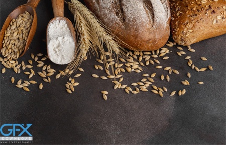 عکس گندم آرد