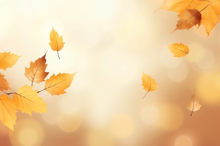 وکتور بک گراند پاییزی