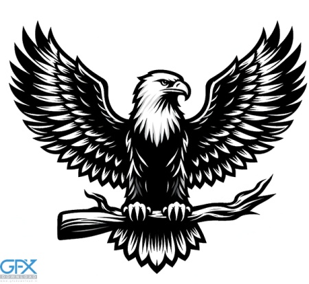 عکس عقاب برای تاتو