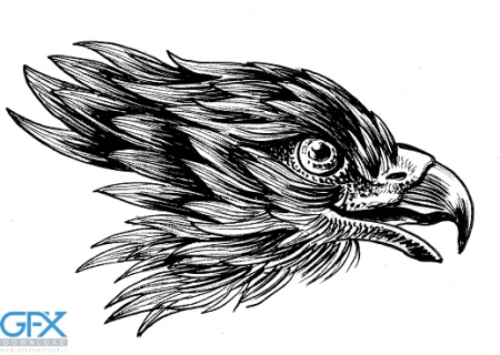 عکس سر عقاب برای تاتو