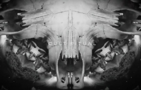 دانلود ترانزیشن پریمیر افکت های ترسناک Horror Effects