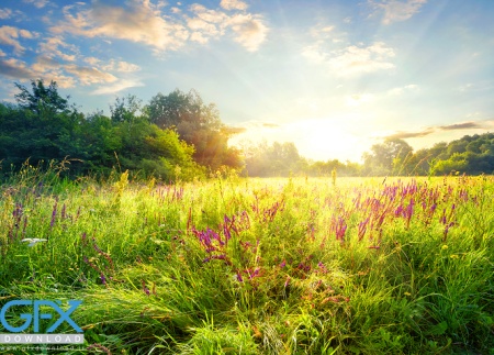 عکس طبیعت بهاری