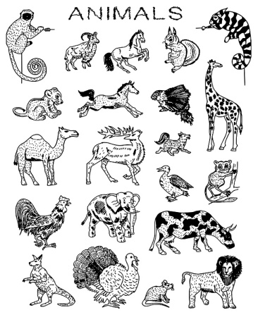 دانلود وکتور حیوانات سیاه و سفید