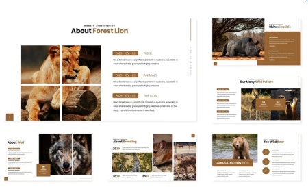 دانلود قالب پاورپوینت حیوانات