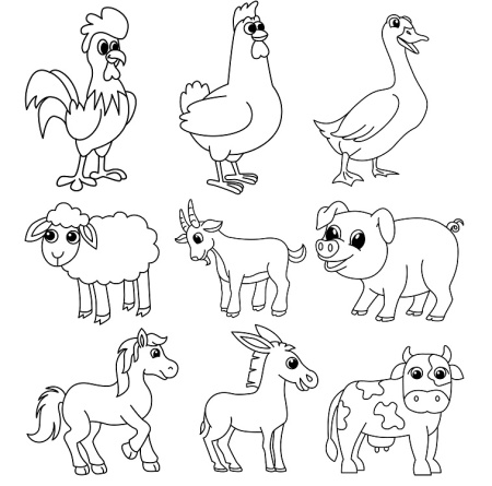 وکتور سیاه و سفید از حیوانات مزرعه